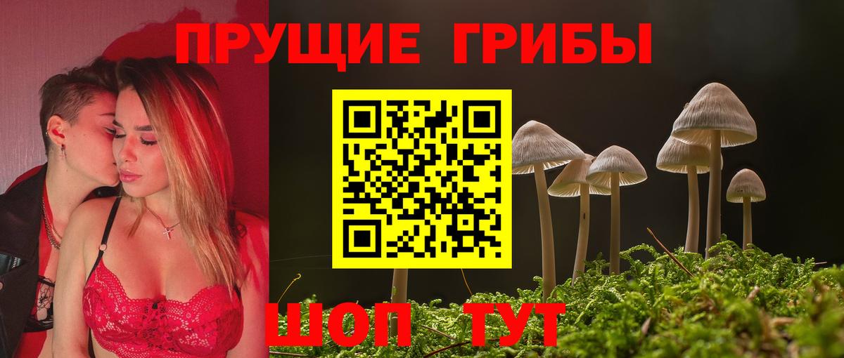 где найти наркотики  Псилоцибиновые грибы мухоморы  Армавир  Вход с VPN  Псилоцибиновые грибы ЛСД 